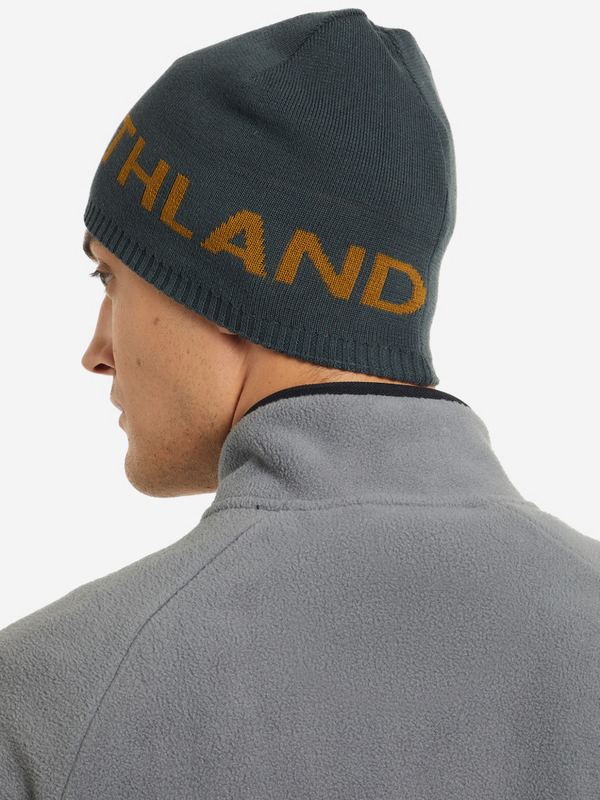 Шапка мужская Northland
